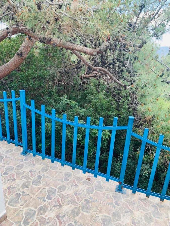 Villa Bellina Pefki  ภายนอก รูปภาพ
